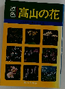原色　高山の花