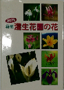 改訂版  箱根　根湿生花園の花