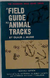 A Field Guide to Animal Tracks The Peterson Field Guide Series 2nd Edition