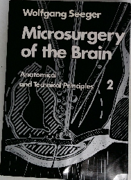 Microsurgery  of the Brain  Anatomical  and Technical Principles  2
