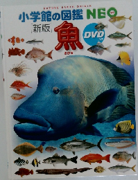 小学館の図鑑NE　魚 新版