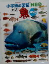 小学館の図鑑NE　魚 新版