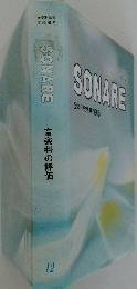 SONARE 音楽科の評価  12