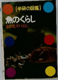 魚のくらし  さかなのくらし