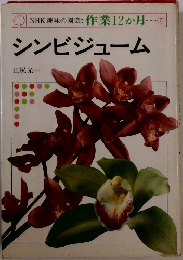 シンビジューム