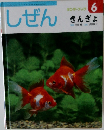 しぜん　6　きんぎょ