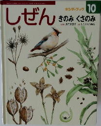 キンダーブック 10　きのみくさのみ