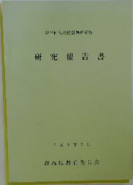 研究報告書  1991年3月　