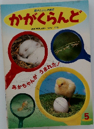 驚きとふしぎ発見  かがくらんど　1994年5月号
