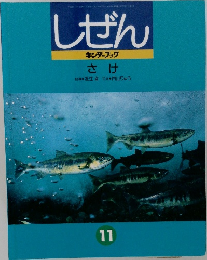 しぜん  キンダーブック  さけ　11