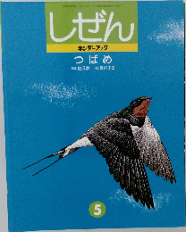 しぜん  キンダーブック  つばめ　5