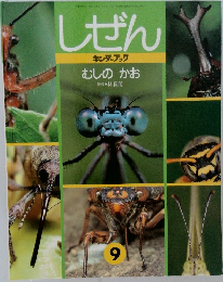 キンダーブック　しぜん　9　むしのかお