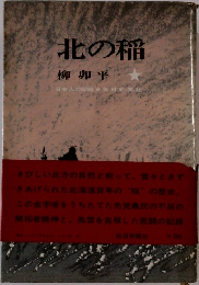 北の稲　　