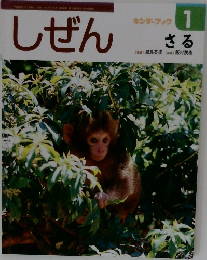 キンダーブックしぜん 1　さる