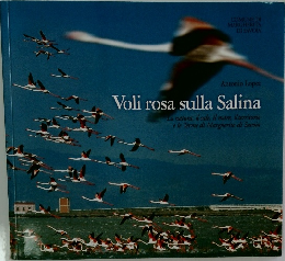 Voli rosa sulla Salina