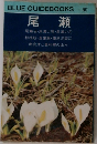 尾瀬