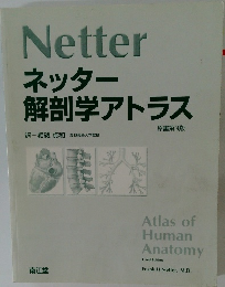 ネッター  解剖学アトラス