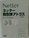ネッター  解剖学アトラス