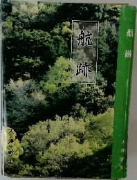 航跡