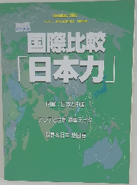 イミダス 2007