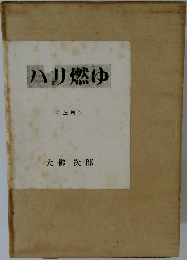 ハリ燃ゆ　上巻