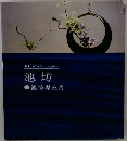 IKEBANA graphic 池坊