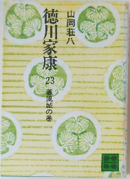 徳川家康　23　南風城の巻