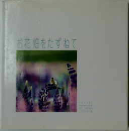 お花畑をたずねて