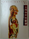 人体の不思議展