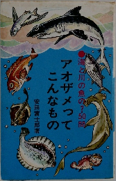 アオザメってこんなもの