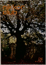NIKKOR CLUB　226  2013 AUTUMN