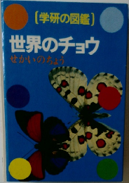 世界のチョウ