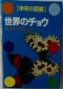 世界のチョウ