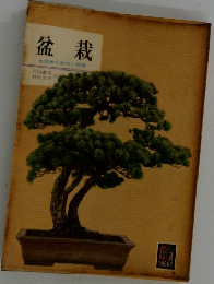 盆栽　自然の制作と