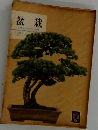 盆栽　自然の制作と