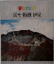 WIDECOLOR　富士箱根伊豆　
