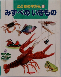 こどものずかん 10　みずべのいきもの