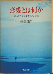 恋愛とは何か　初めて人を愛する日のために