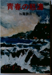 青春の怒濤　
