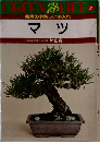 毎月のやさしい手入れ  マツ