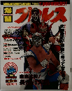 爆闘プロレス　1995年7月号　Vol.19
