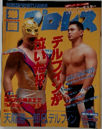 爆闘プロレス　vol.24　1996年1月号