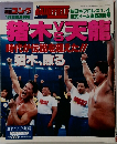 週刊ゴング　1月22日増刊号