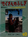 たくさんのふしぎ　1996年10月号(第39号) 