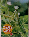 こどもにしぜん 10月号 むしをまつ かまきり