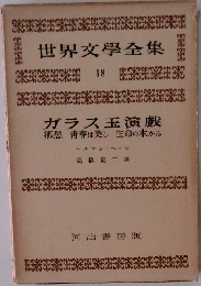 世界文学全集　18
