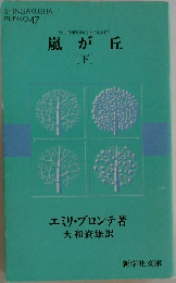 嵐が丘　下
