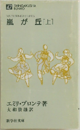 嵐が丘 [上] 