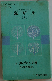 嵐が丘 上