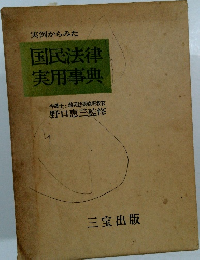 実例からみた 国民法律 実用事典